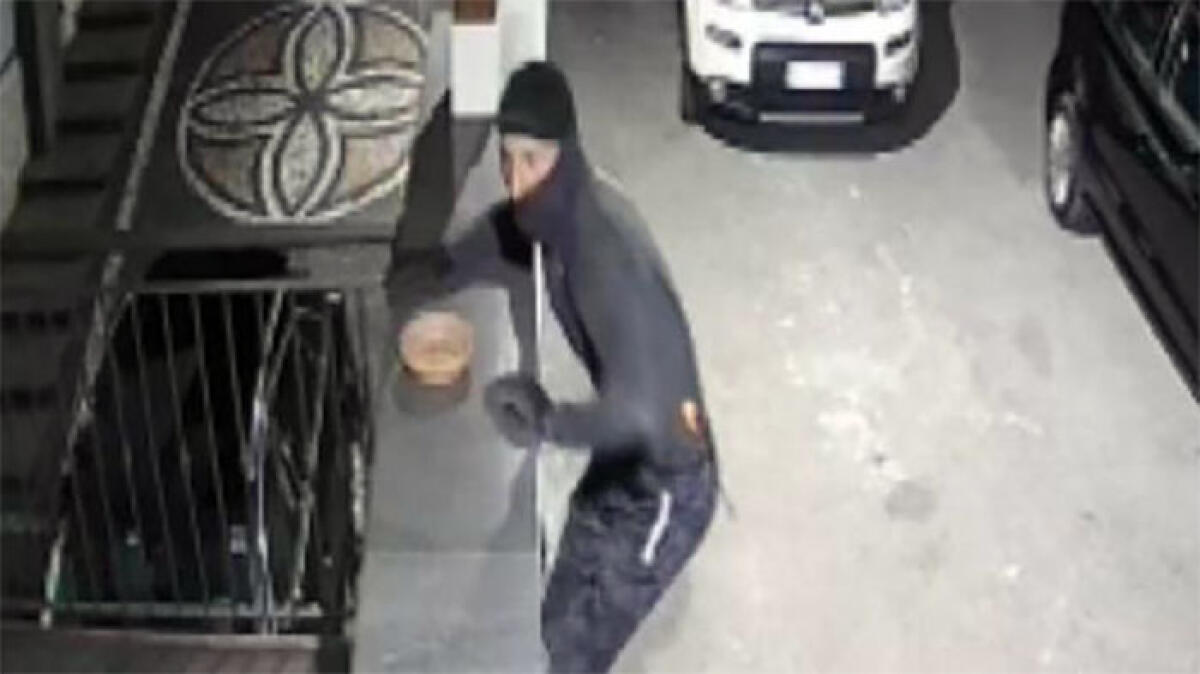 Ladri svaligiano tutti gli appartamenti di un'intera palazzina - 