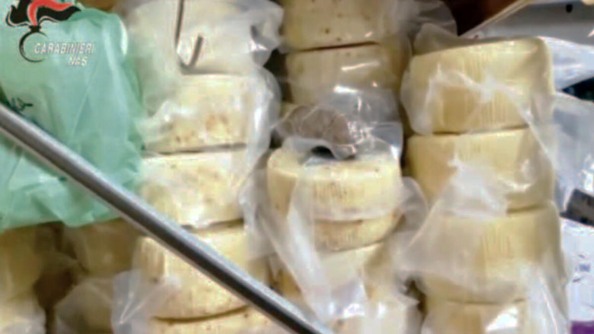 Pasta, salumi, formaggi, carne e conserve tra marciume, ragnatele e insetti: i Nas sequestrano tutto - 