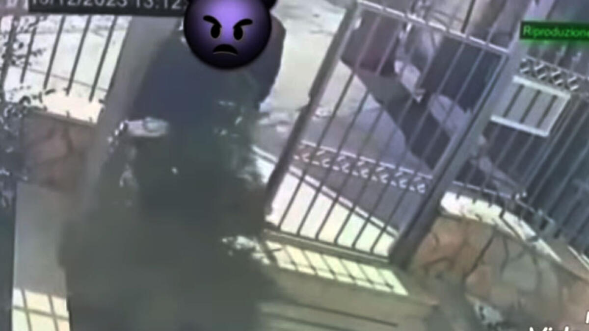 Albero di Natale sradicato in pieno giorno da un cortile privato - 