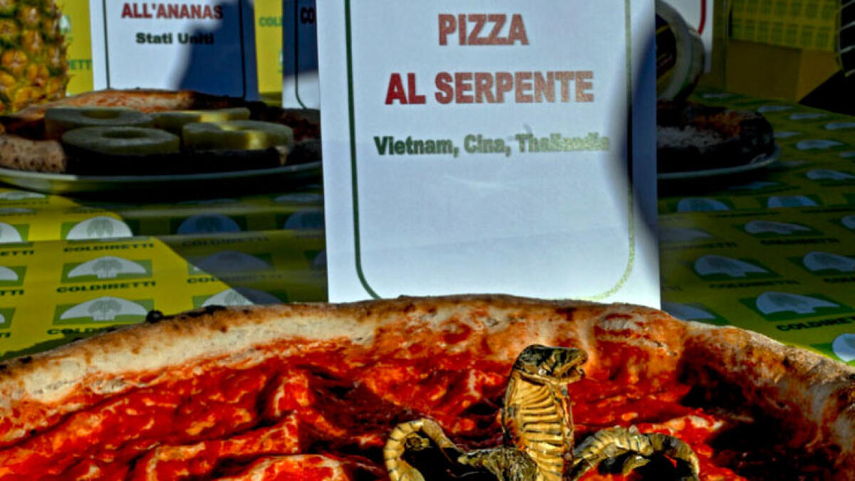 "Pizza degli orrori", in mostra i condimenti terribili all'estero - 
