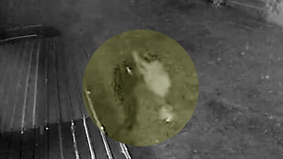 Donna colpita con un bastone nel giardino di casa: è caccia all'uomo - 