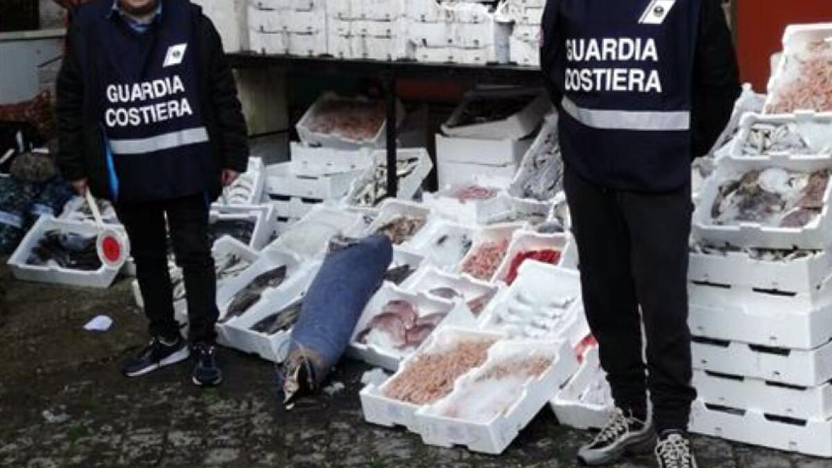 Due quintali di pesce sequestrato al mercato - 