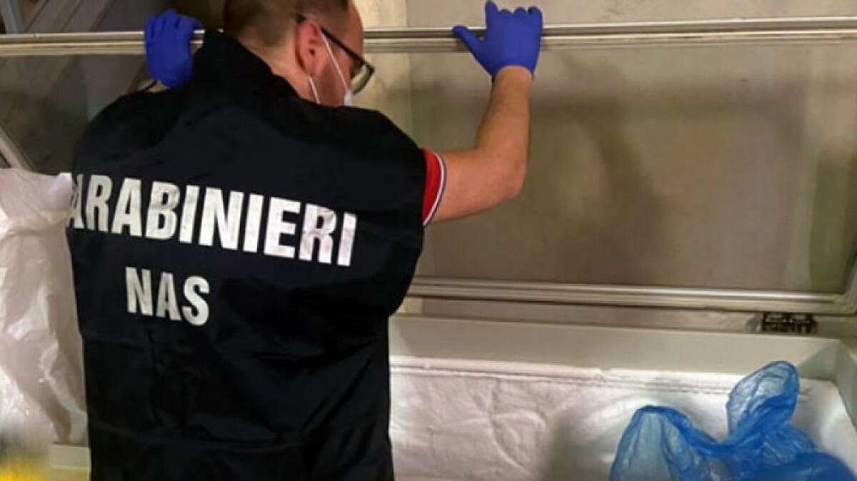 Sporcizia e insetti morti, chiuso panificio - 