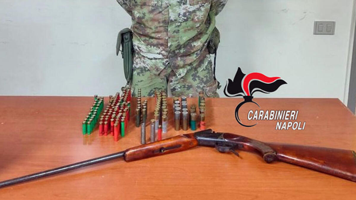 Si mette a sparare nella vegetazione con un fucile rubato - 