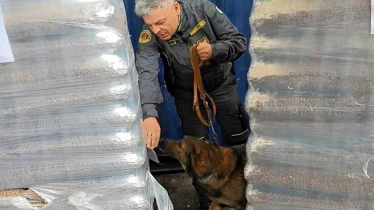 Pellet fuorilegge in Campania: sequestrate 54 tonnellate - 