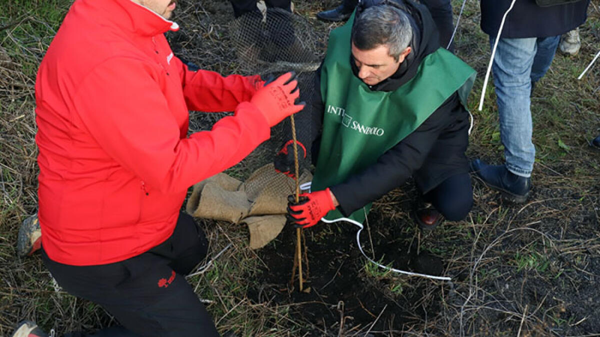 Piantumati 120 nuovi alberi in pieno Parco del Vesuvio - 