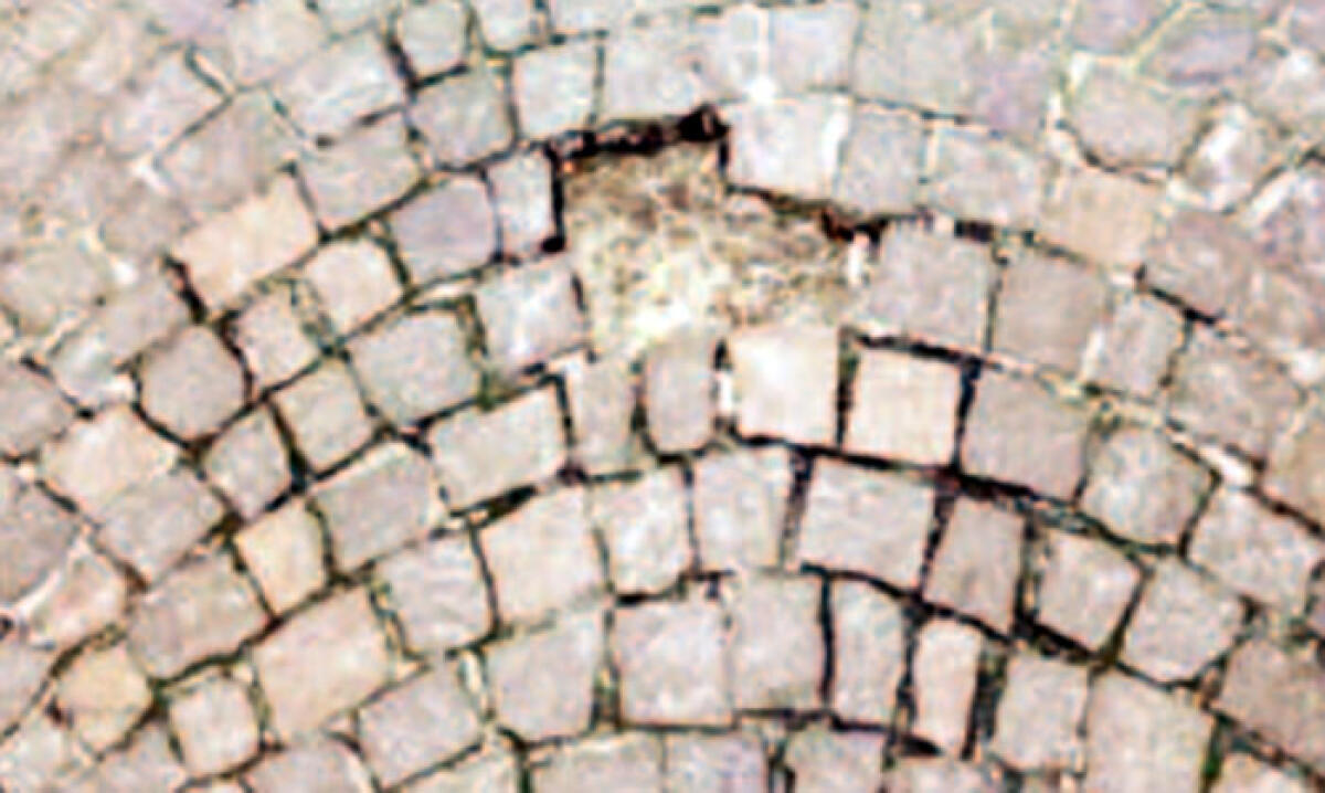 Cade in una buca e si frattura la spalla - 