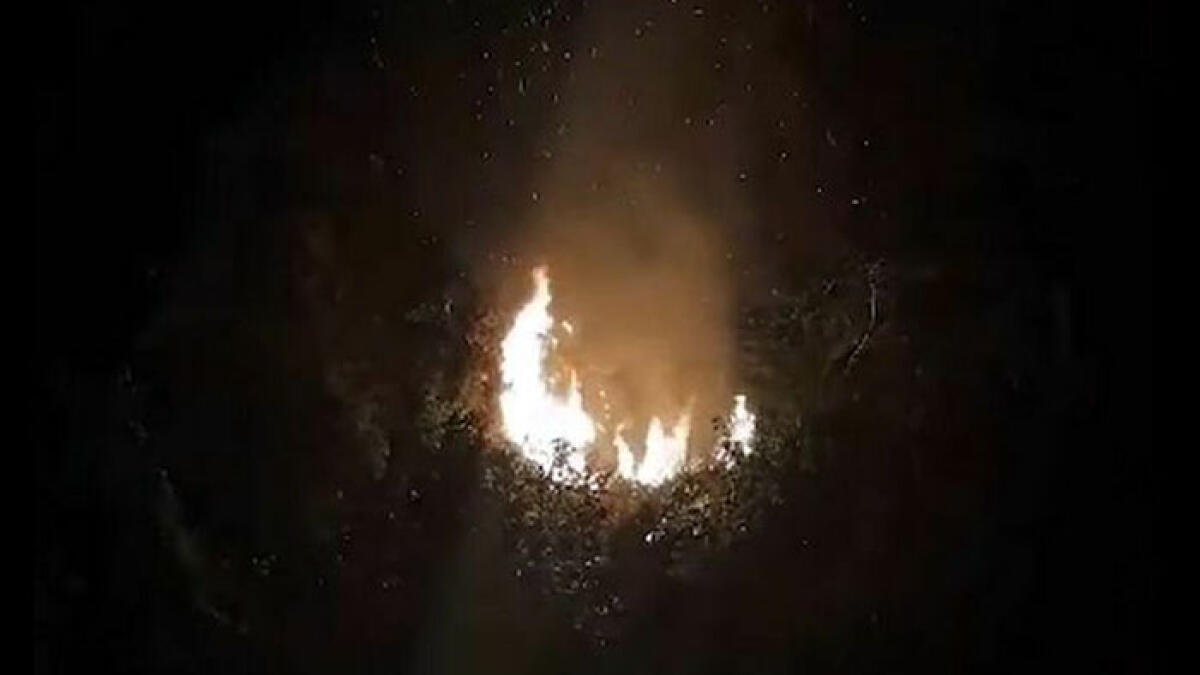 Gettano candela di compleanno accesa nel verde, divampa l'incendio - 