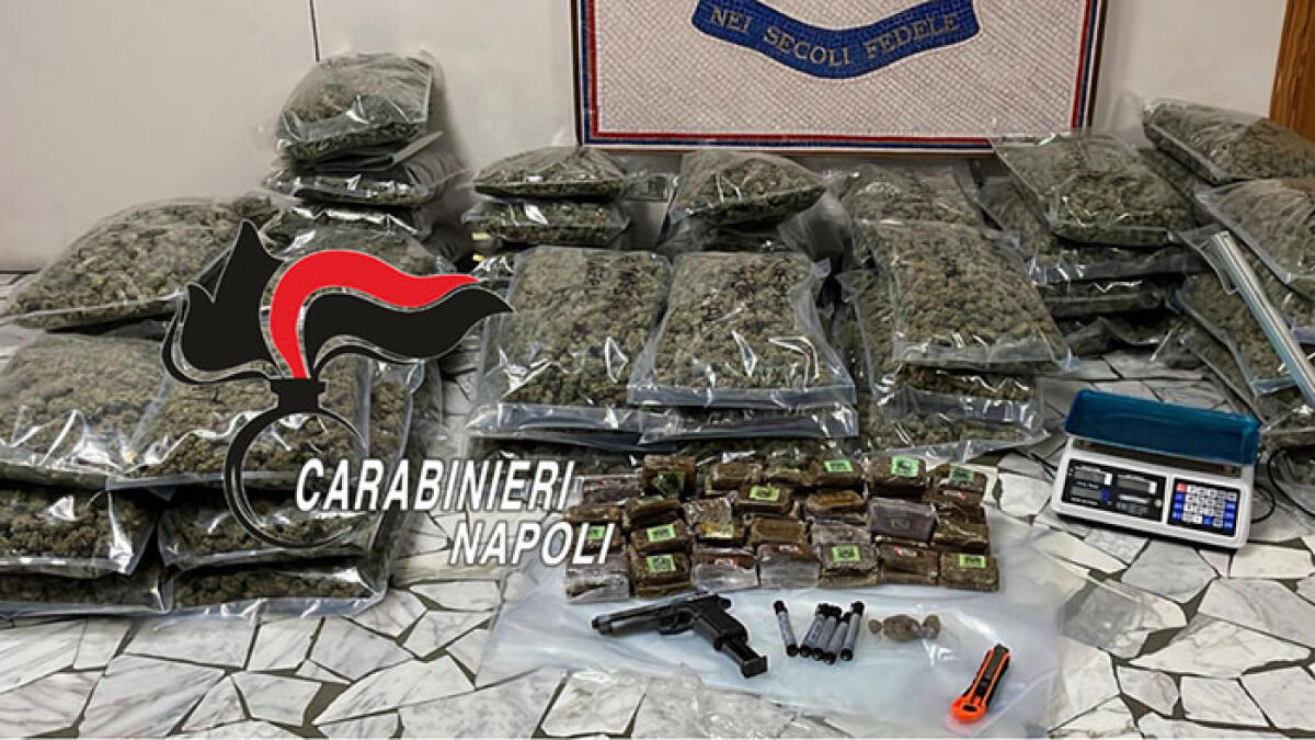 Decine di chili di droga in frigo, arrestati padre e figlio - 