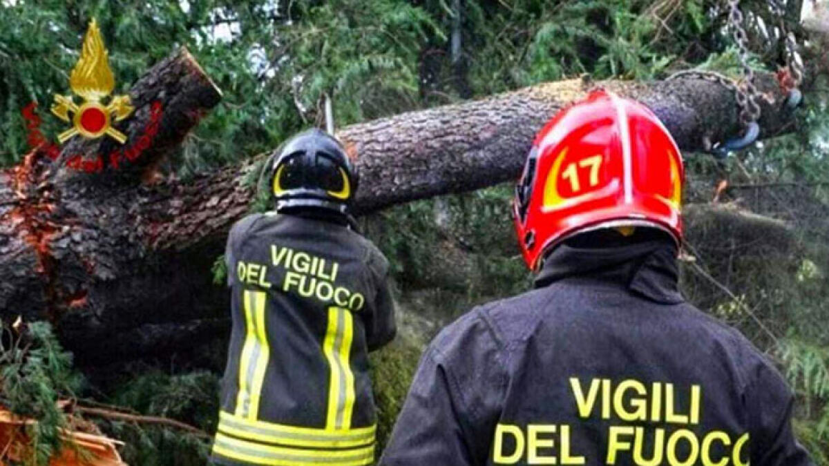 Albero crolla su un'auto, paura nell'Agro Nocerino - 