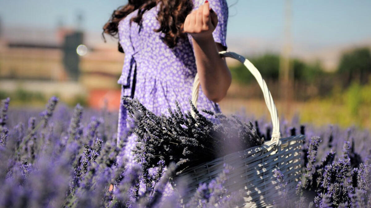 Avvenente donna si finge innamorata e porta via 40mila euro alla vittima - 