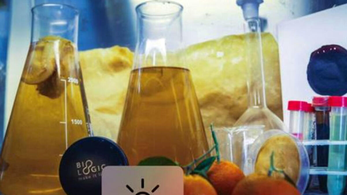 Il cibo del futuro? Una cellulosa batterica - 