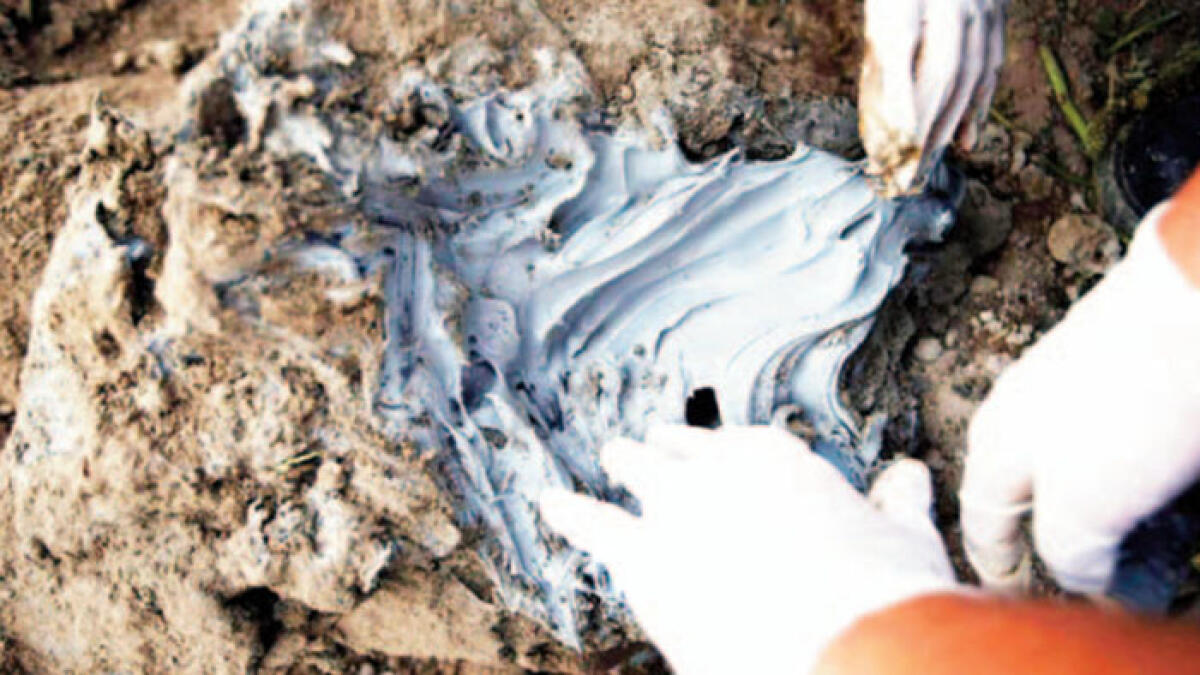 Ecoreati, Campania maglia nera per veleni ed inquinamento - 