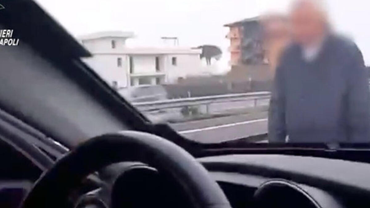 Vaga sulla Statale tre le auto che sfrecciano: messo in salvo - 