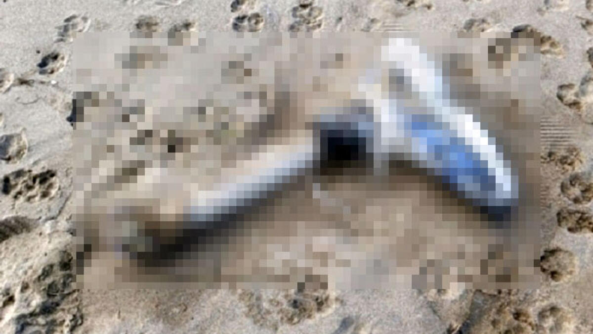 La mareggiata in Campania porta resti umani sulla spiaggia - 