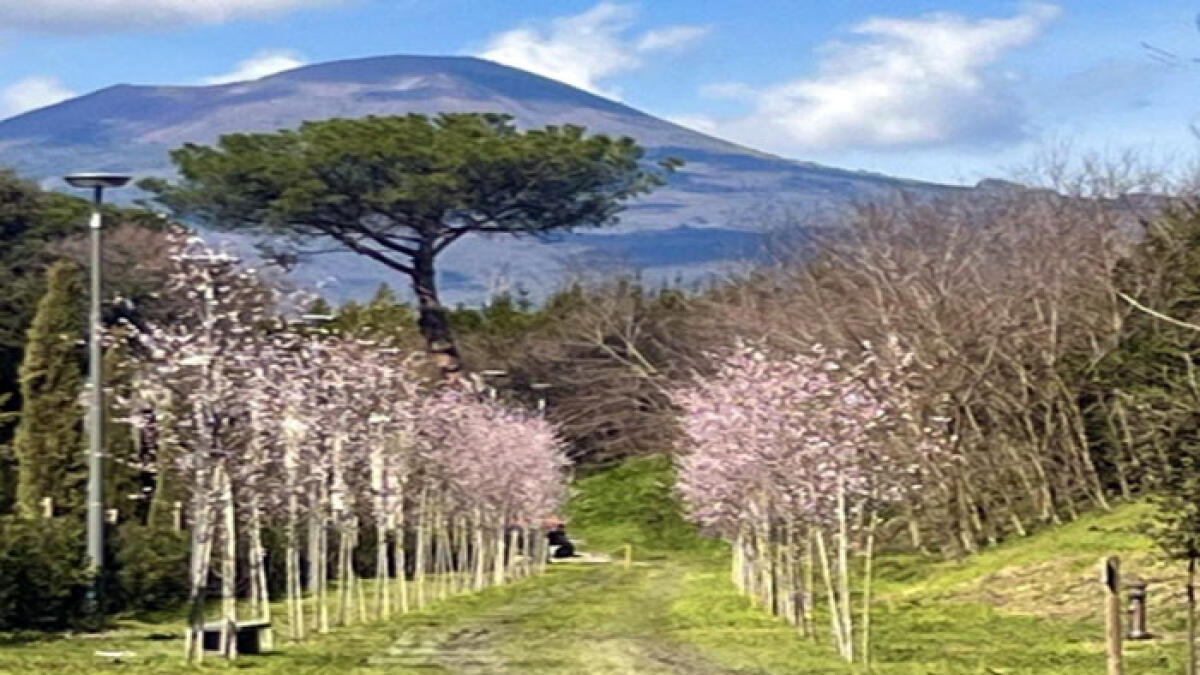 Pompei, inaugurato il percorso verde Extramoenia - 