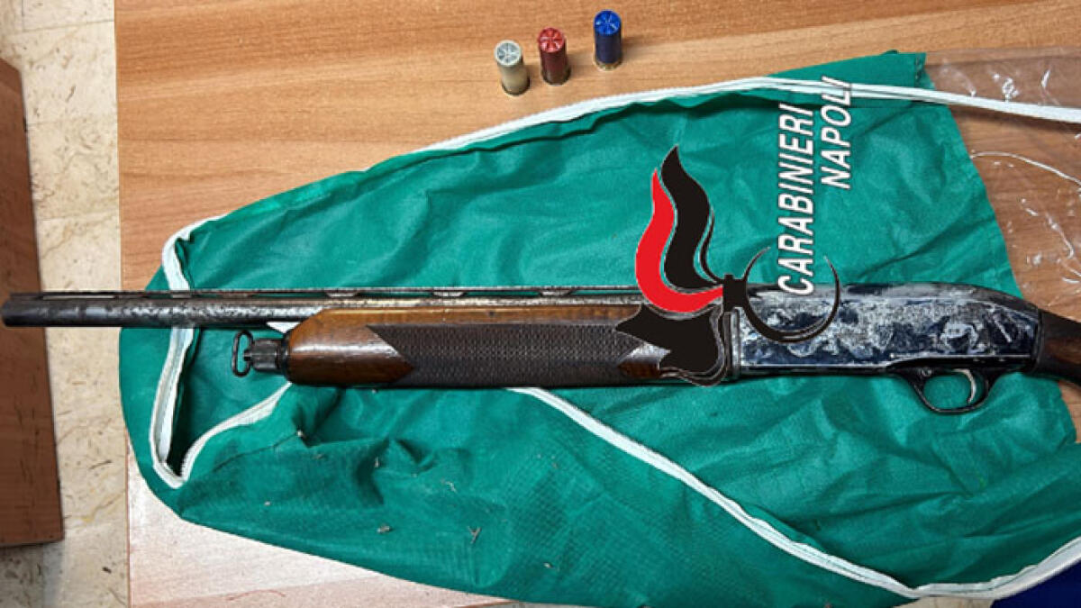 Blitz nel Nolano, sequestrato fucile a canne mozze pronto a sparare - 