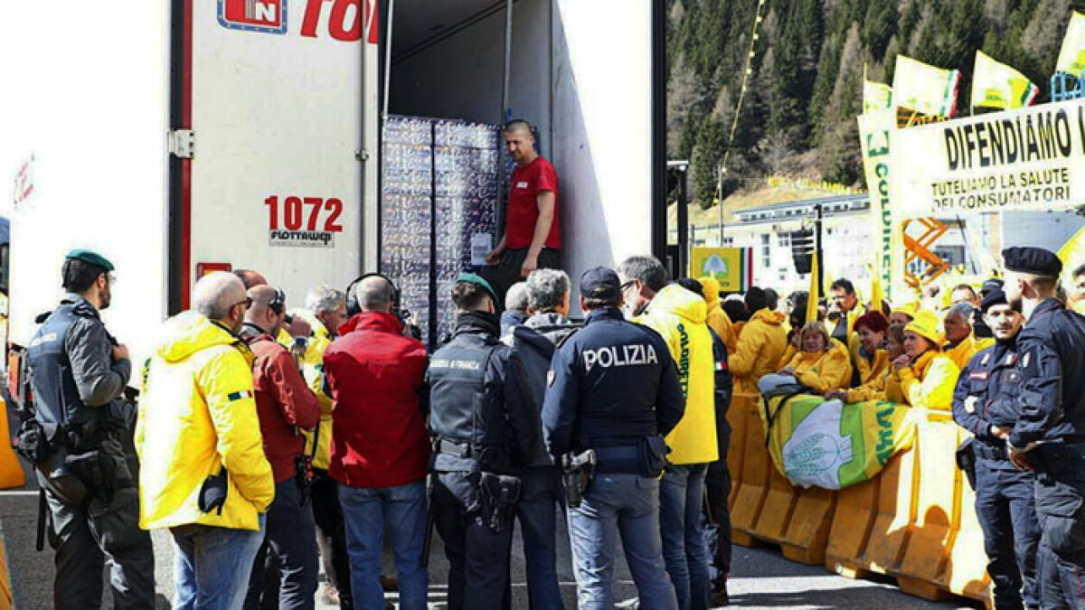 Scatta il blitz, scoperto carico di pomodori San Marzano fake - 