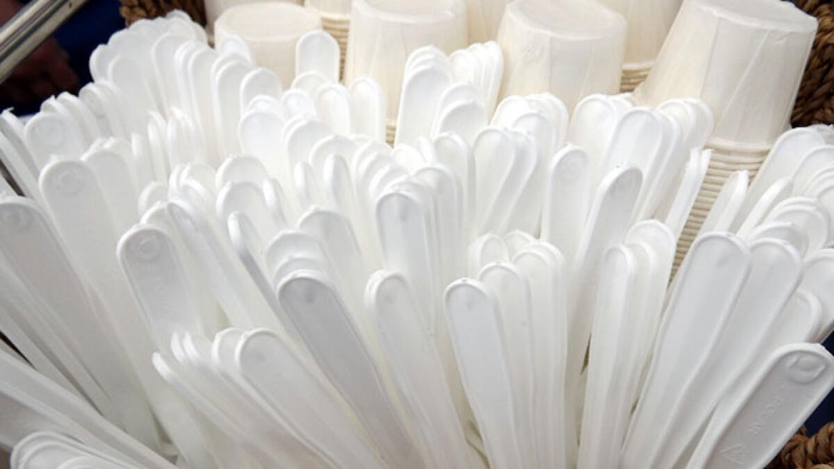 Arriva un regalo in denaro a chi non compra più i prodotti "usa e getta" - 