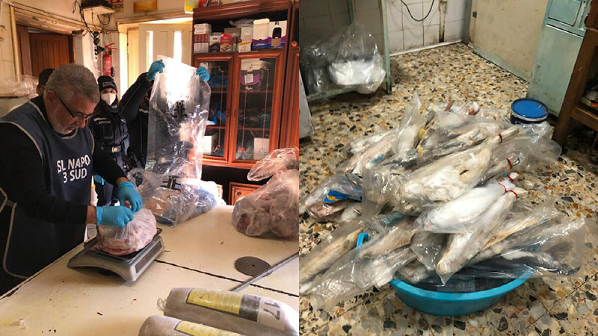 Serie di controlli a Palma Campania: sovraffollamento e alimenti in terribili condizioni igieniche - 