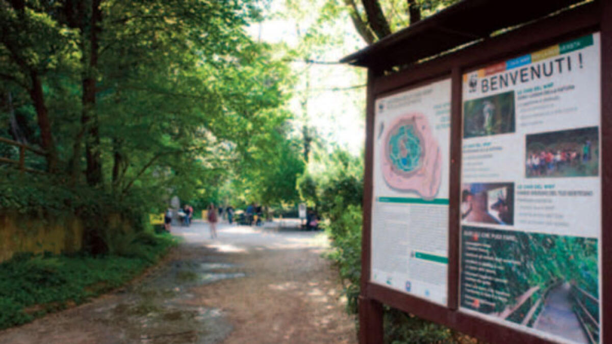 Astroni devastati dalle fiamme: arrestati ristoratore e un complice - 