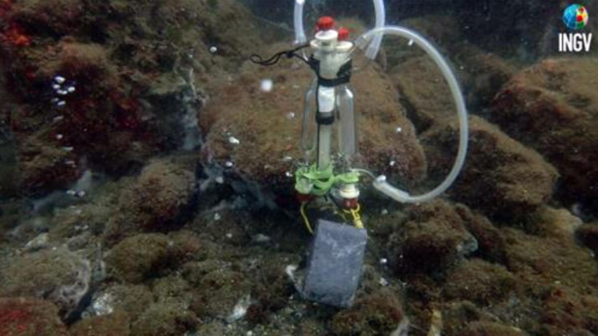 Campi Flegrei, potenziato il monitoraggio sottomarino della caldera - 