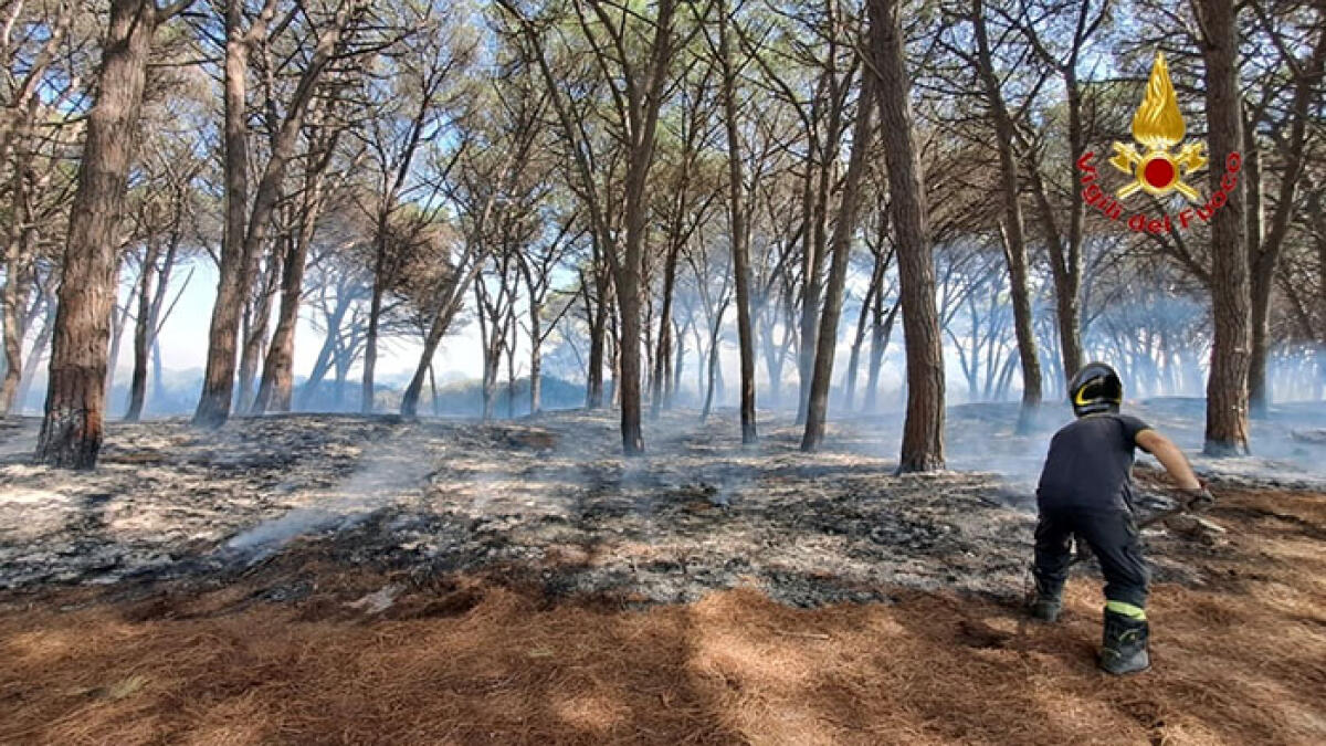 Due allevatori appiccano incendio e distruggono un bosco - 