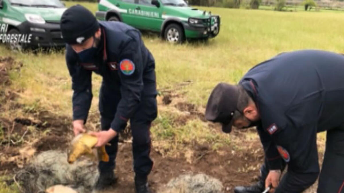 Veleni nel Fiume Sarno: sigilli ad aziende tra Vesuviano, Agro Nocerino e mezza Campania - 