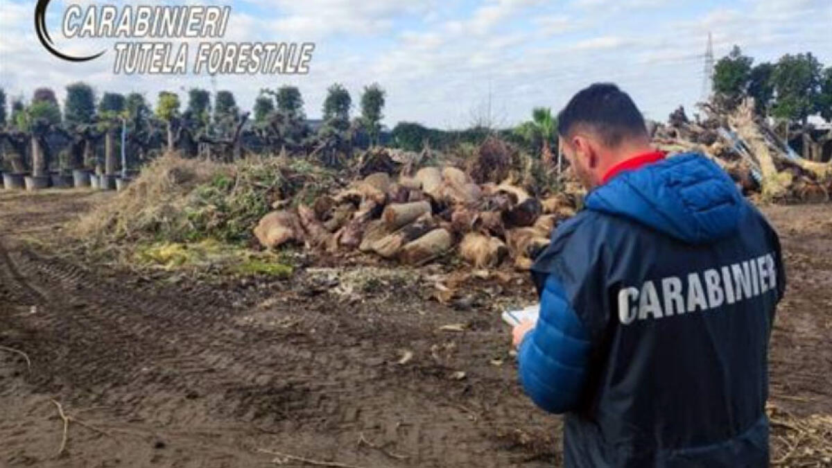 Rifiuti interrati nel cantiere, incastrati da un cittadino di passaggio - 