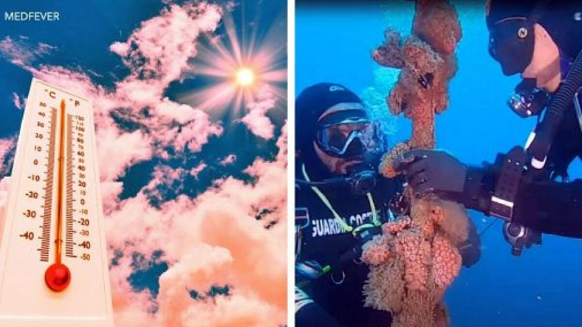 Le acque del Mediterraneo mai così calde negli ultimi 40 anni - 