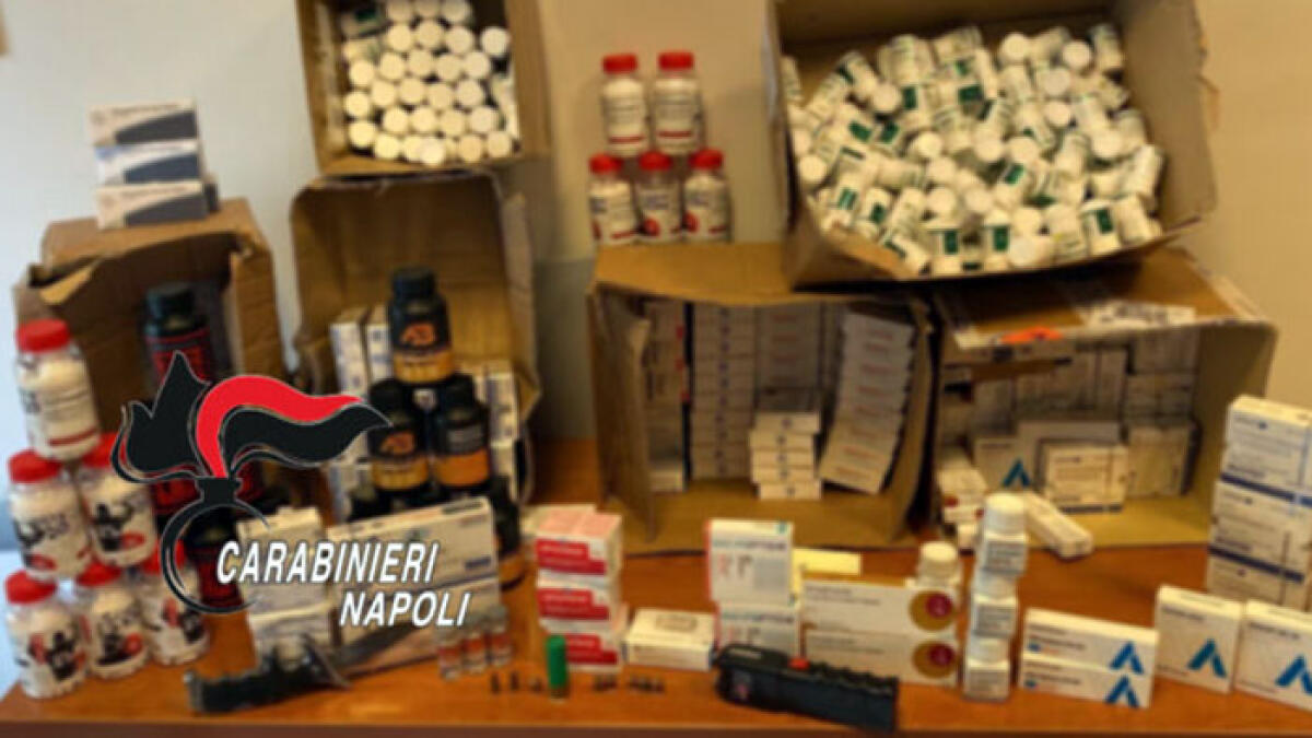 Sequestrati farmaci dopanti, armi, proiettili e soldi in contanti - 