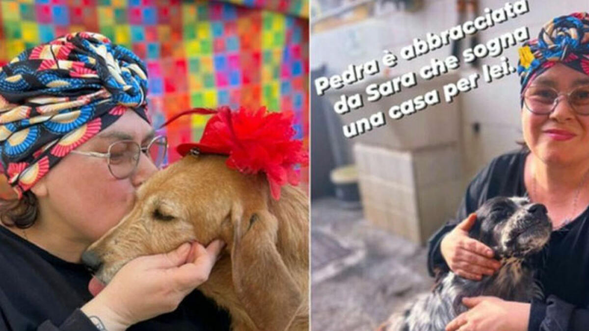 Addio Sara, la dogsitter ha salvato duemila cani - 