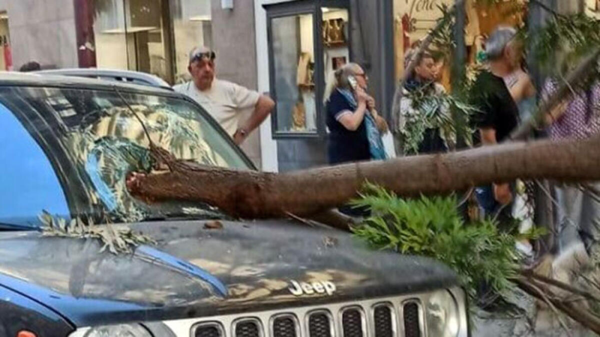 Ramo crolla e sfonda auto - 