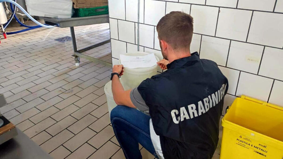 Anche la mozzarella di bufala è "pezzotta": scatta il sequestro - 