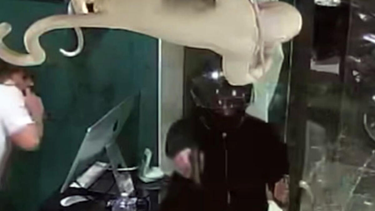 Arma in faccia alla titolare, parafarmacia rapinata a Poggiomarino - 