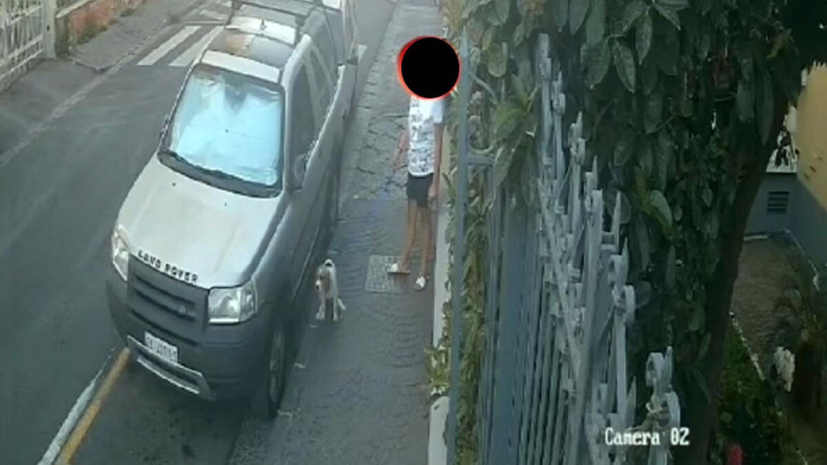 Ragazza non raccoglie i bisogni del cane: il sindaco dei Paesi Vesuviani pubblica il video - 
