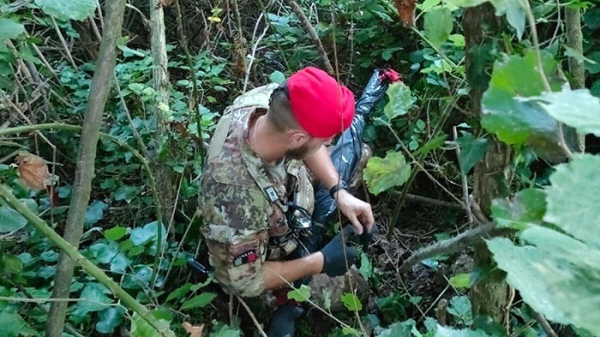 Blitz di carabinieri e militari, scoperte armi e piantagione di marijuana - 