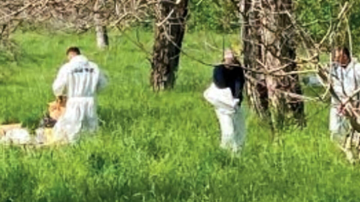 Muore folgorato al parco - 