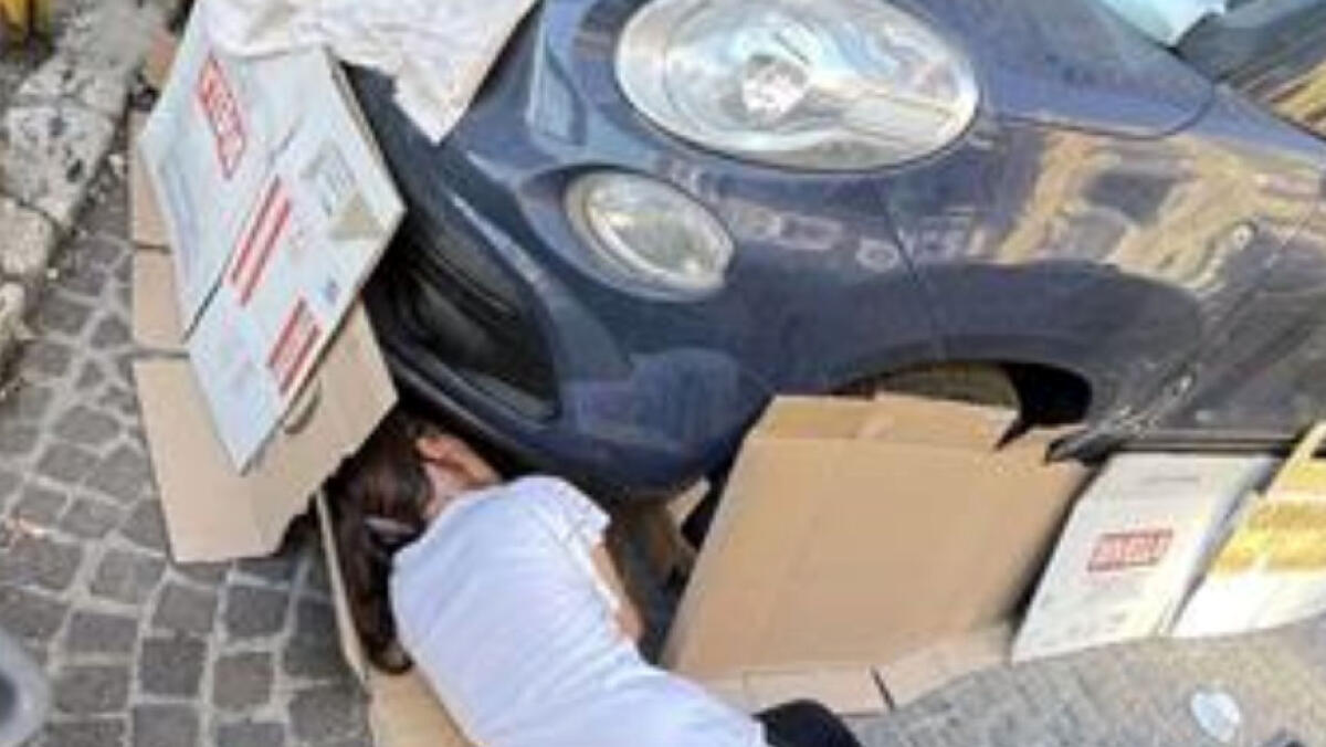 Gatto va in giro incastrato nel motore, liberato dopo 10 ore - 