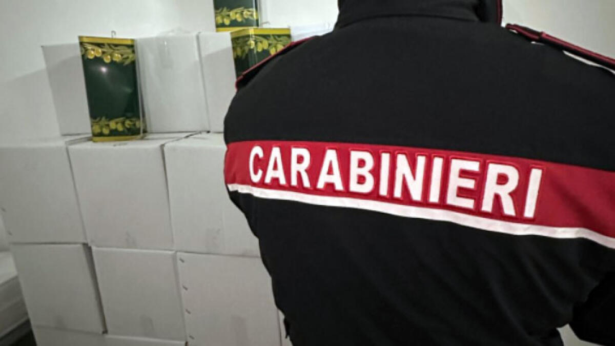 Oltre 900mila euro di olio adulterato venduto come extravergine di oliva - 