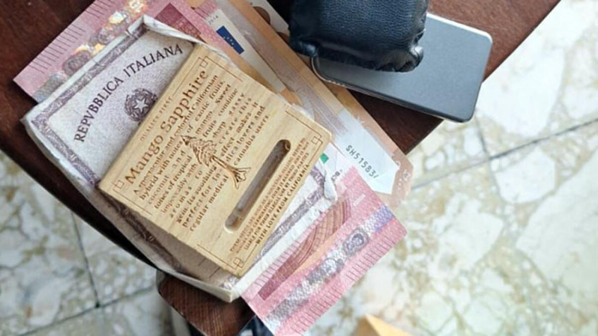 Blitz antidroga ai piedi del Vesuvio, trovata anche la "Mango Sapphire" - 