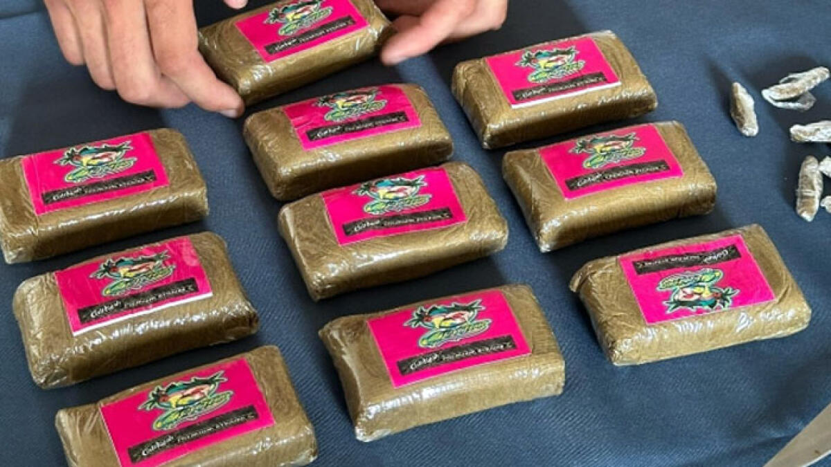 Droga nella pescheria, arrestati fratelli pescivendoli nei Paesi Vesuviani - 