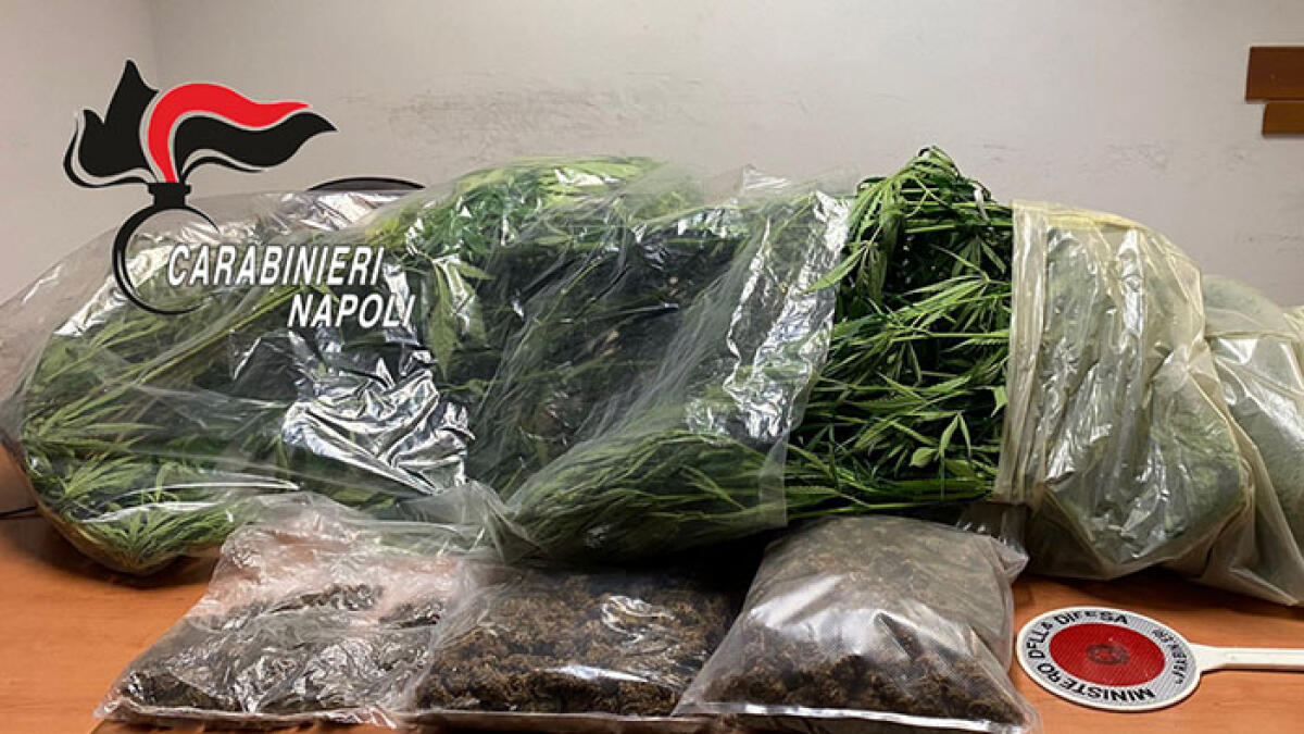 Piante e droga in casa, preso a Somma Vesuviana - 