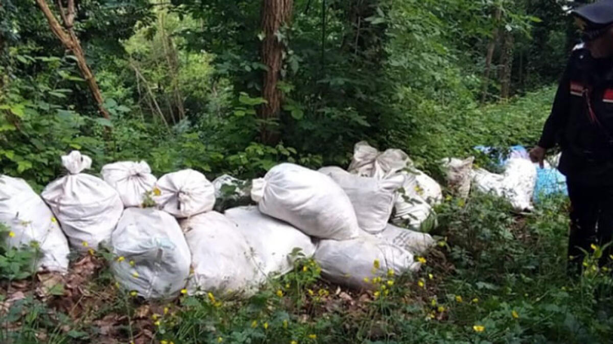 Gettano i rifiuti nei comuni limitrofi: 50 multati - 