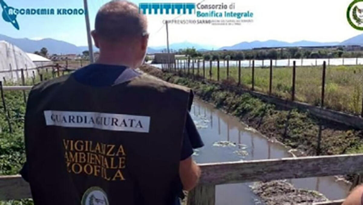 Blitz intorno al Fiume Sarno, scattano i sequestri in tre città - 