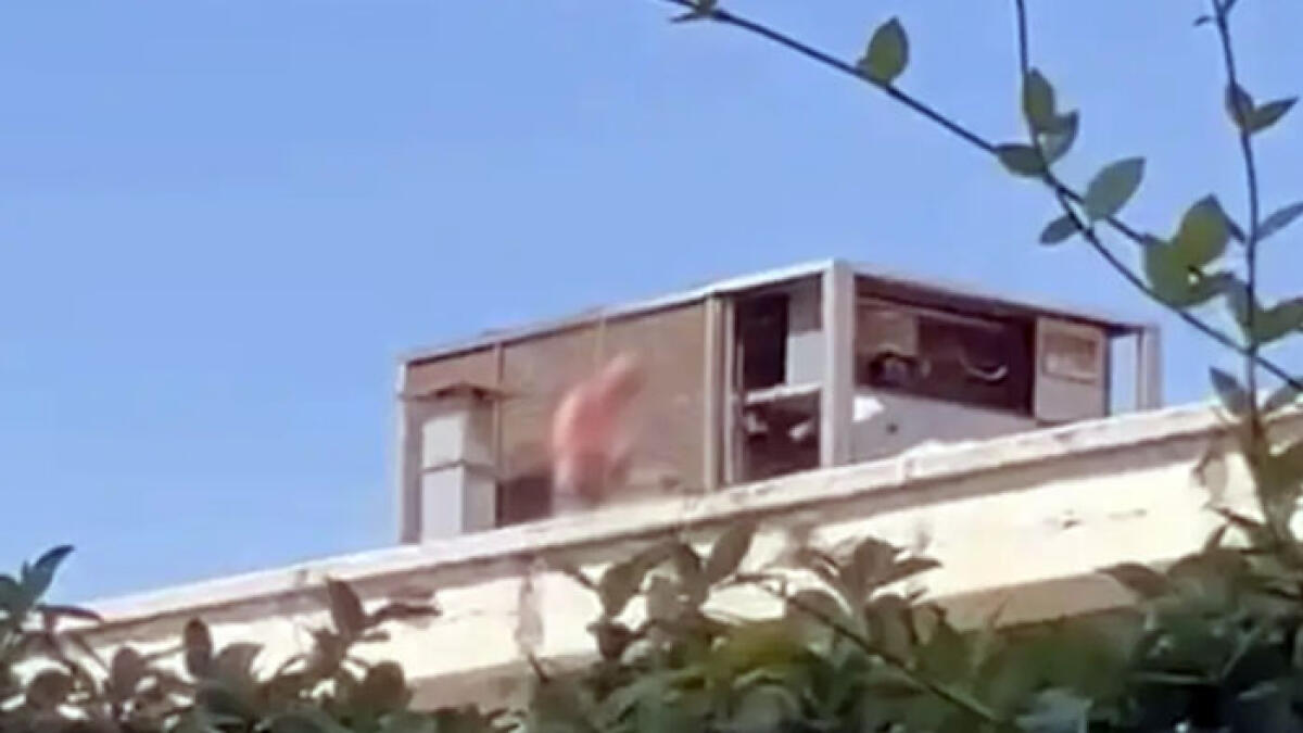 Ruba il rame dai tetti delle Terme - 