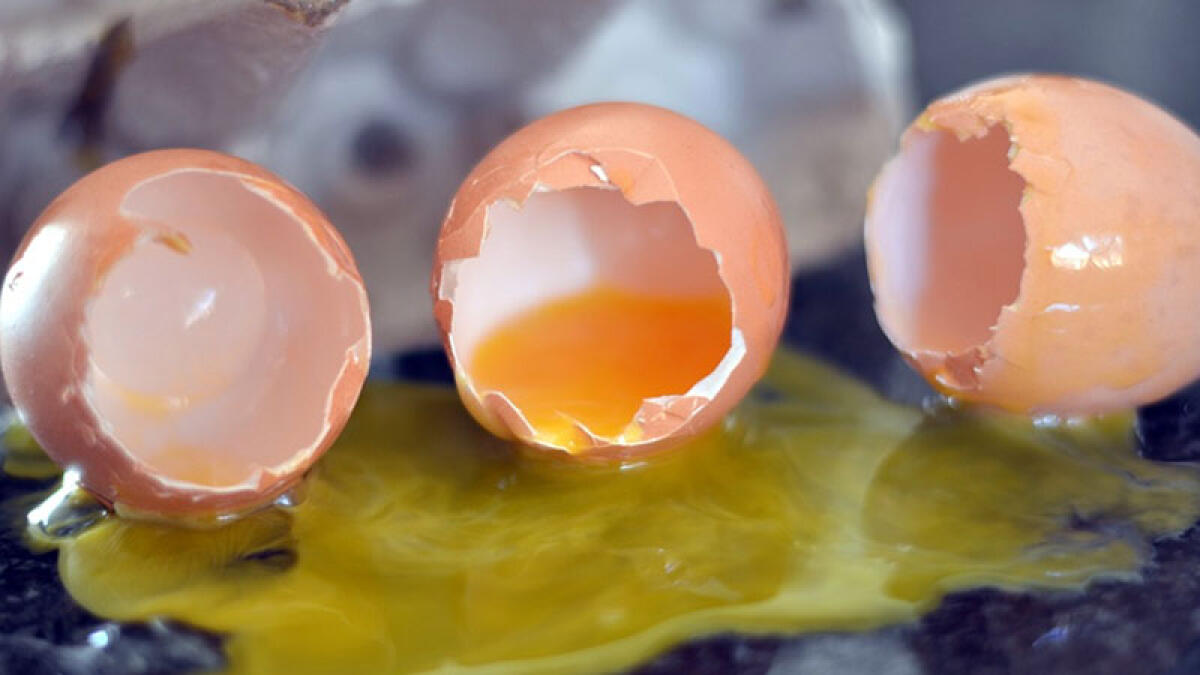 Uova del supermercato contaminate da salmonella: "Non mangiatele" - 