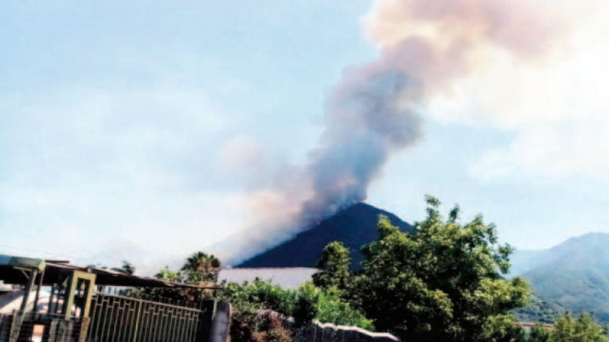 Incubo incendi a Napoli e provincia, fiamme anche a Somma Vesuviana - 