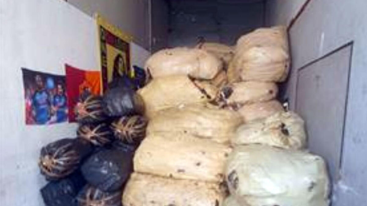 Bruciavano abiti usati: disastro ambientale ai piedi del Vesuvio - 