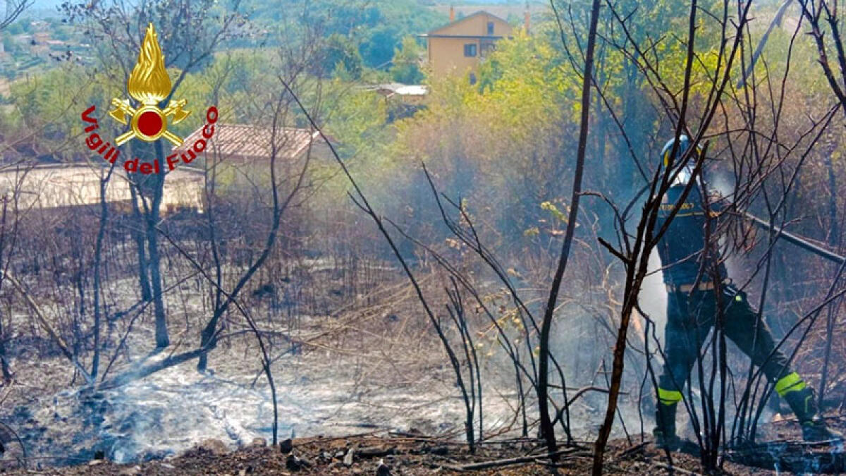 Ancora verde in fiamme, case minacciate - 